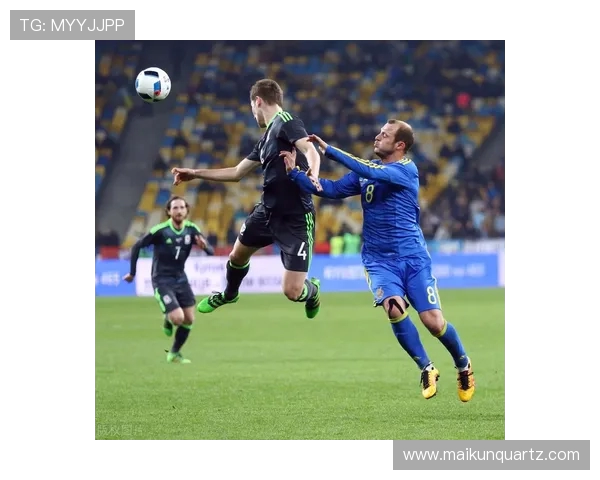 威尔士与塞尔维亚精彩对决直播全程回顾与分析